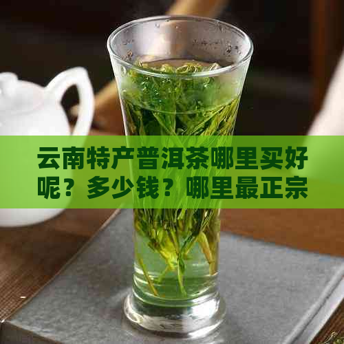 云南特产普洱茶哪里买好呢？多少钱？哪里最正宗？