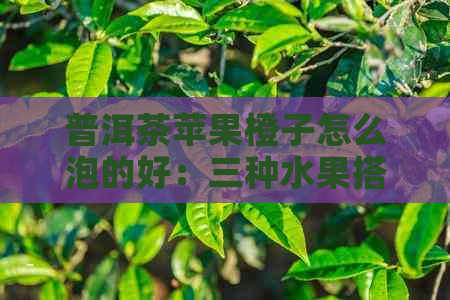 普洱茶苹果橙子怎么泡的好：三种水果搭配，口感绝佳！