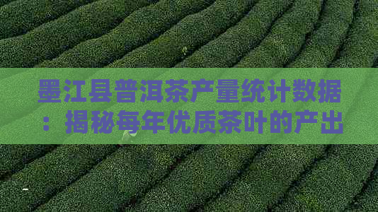 墨江县普洱茶产量统计数据：揭秘每年优质茶叶的产出