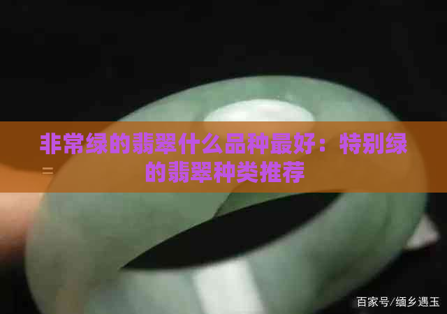 非常绿的翡翠什么品种更好：特别绿的翡翠种类推荐