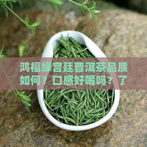 鸿福缘宫廷普洱茶品质如何？口感好喝吗？了解全面评价与体验分享