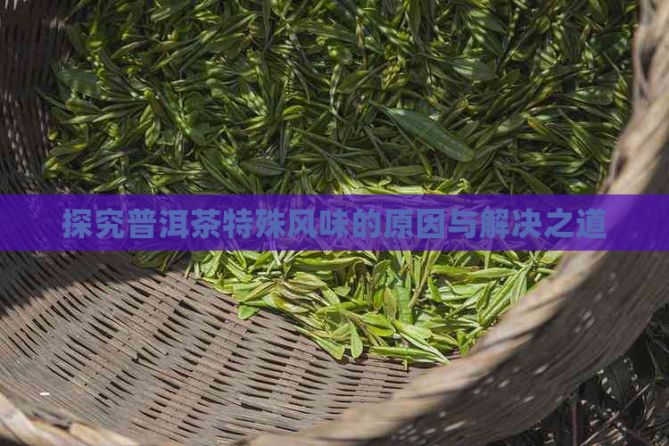 探究普洱茶特殊风味的原因与解决之道