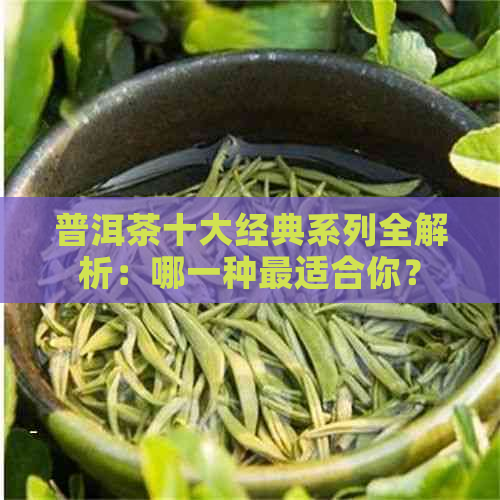 普洱茶十大经典系列全解析：哪一种最适合你？