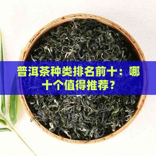 普洱茶种类排名前十：哪十个值得推荐？