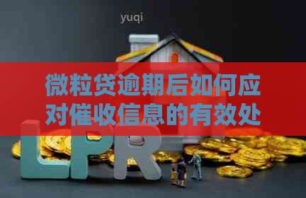 微粒贷逾期后如何应对信息的有效处理指南