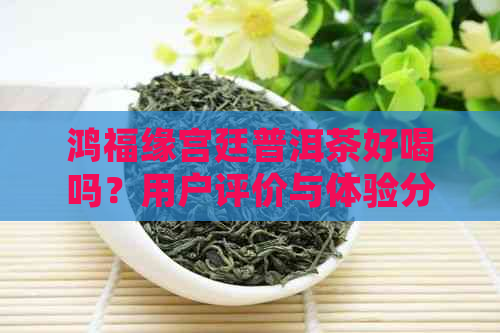 鸿福缘宫廷普洱茶好喝吗？用户评价与体验分享