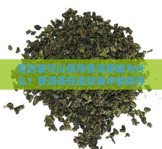 密封袋可以保存普洱茶嘛为什么？普洱茶在密封袋中能保存吗？