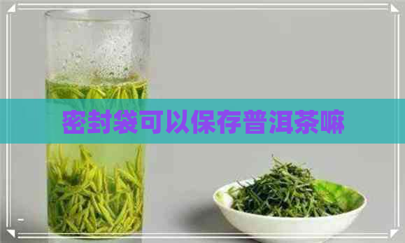 密封袋可以保存普洱茶嘛