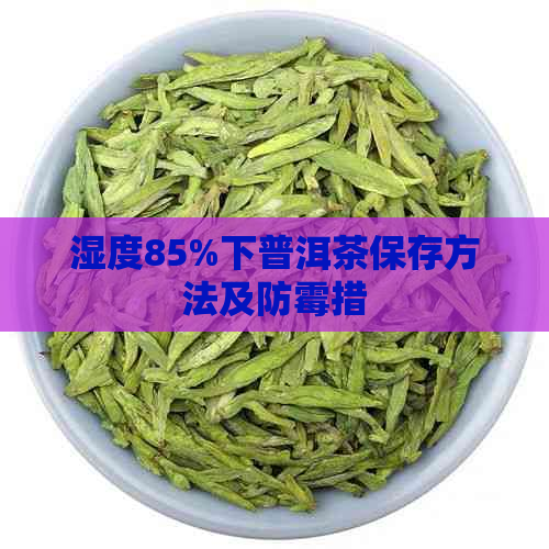 湿度85%下普洱茶保存方法及防霉措