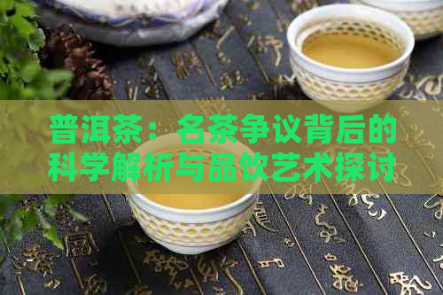 普洱茶：名茶争议背后的科学解析与品饮艺术探讨