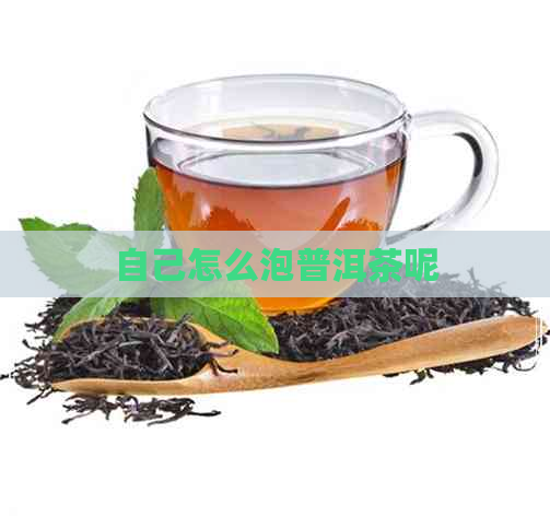 自己怎么泡普洱茶呢