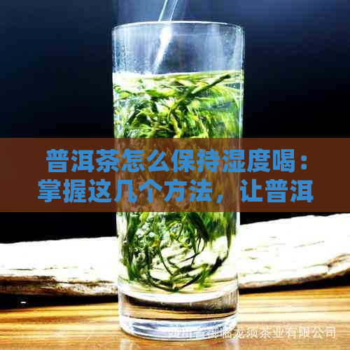 普洱茶怎么保持湿度喝：掌握这几个方法，让普洱茶保持口感和香气。