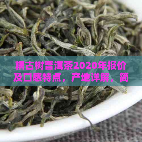 糯古树普洱茶2020年报价及口感特点，产地详解，简介不可少！