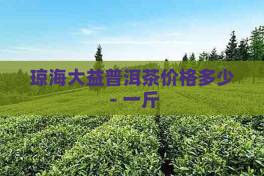 琼海大益普洱茶价格多少 - 一斤