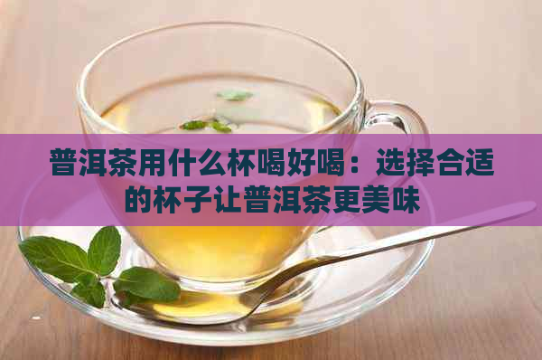 普洱茶用什么杯喝好喝：选择合适的杯子让普洱茶更美味