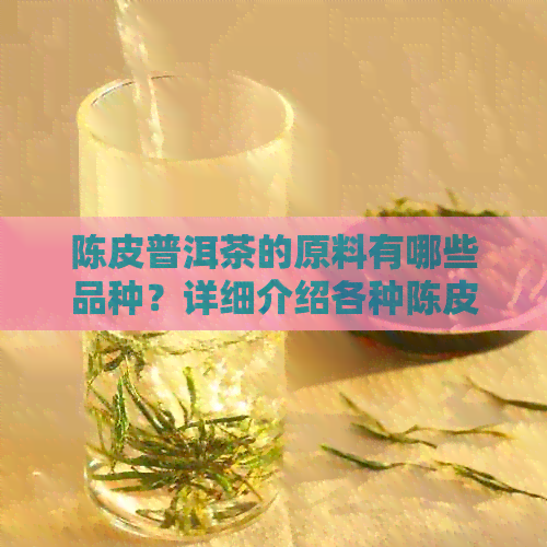 陈皮普洱茶的原料有哪些品种？详细介绍各种陈皮和普洱茶的特点及搭配方法