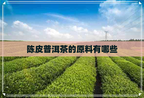 陈皮普洱茶的原料有哪些