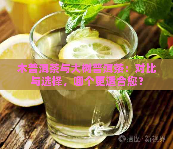 木普洱茶与大树普洱茶：对比与选择，哪个更适合您？