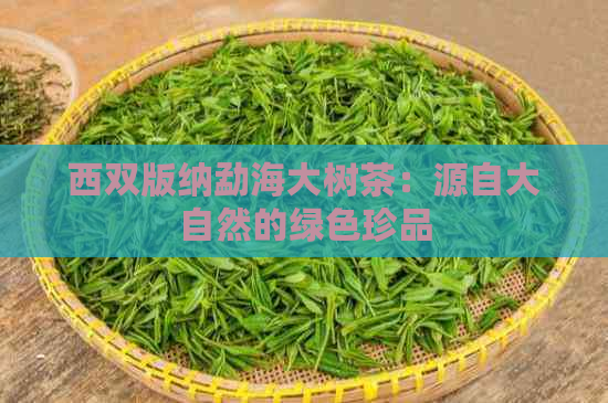 西双版纳勐海大树茶：源自大自然的绿色珍品