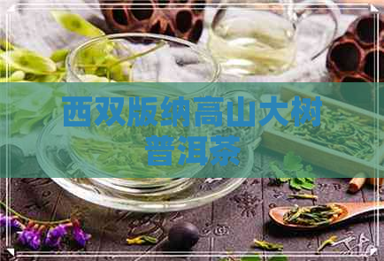 西双版纳高山大树普洱茶