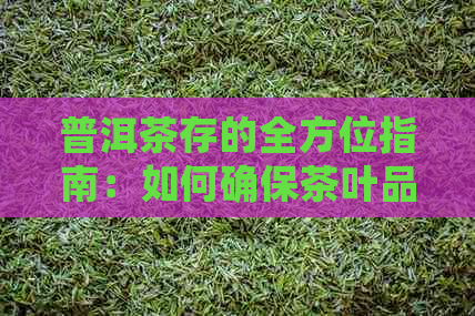 普洱茶存的全方位指南：如何确保茶叶品质和保存方法