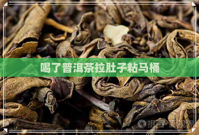 喝了普洱茶拉肚子粘马桶