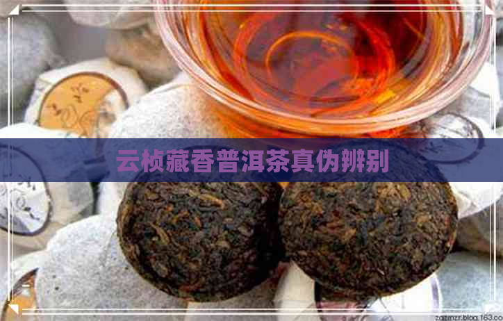 云桢藏香普洱茶真伪辨别