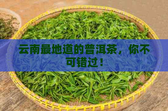 云南最地道的普洱茶，你不可错过！