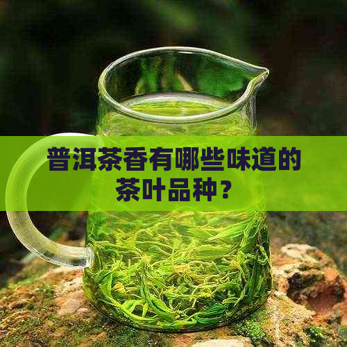 普洱茶香有哪些味道的茶叶品种？