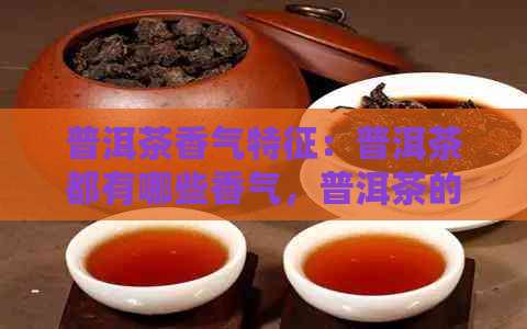 普洱茶香气特征：普洱茶都有哪些香气，普洱茶的香气特点和种类。