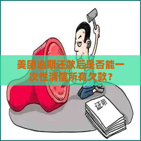 美团逾期还款后是否能一次性清偿所有欠款？