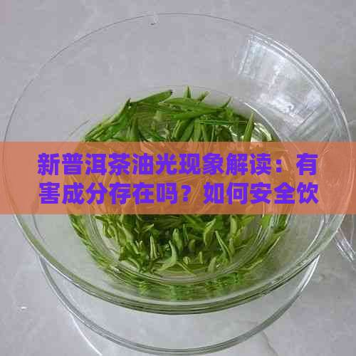 新普洱茶油光现象解读：有害成分存在吗？如何安全饮用？