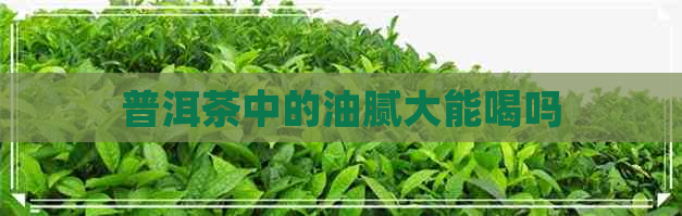 普洱茶中的油腻大能喝吗