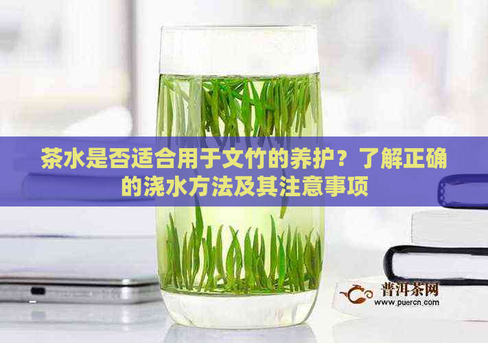 茶水是否适合用于文竹的养护？了解正确的浇水方法及其注意事项