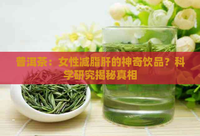 普洱茶：女性减脂肝的神奇饮品？科学研究揭秘真相