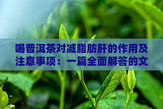 喝普洱茶对减脂肪肝的作用及注意事项：一篇全面解答的文章