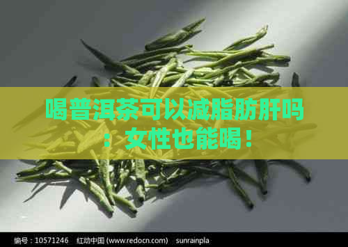 喝普洱茶可以减脂肪肝吗：女性也能喝！