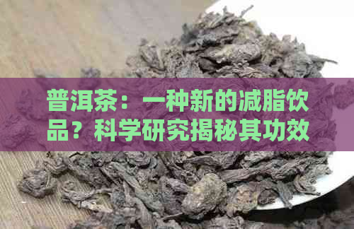 普洱茶：一种新的减脂饮品？科学研究揭秘其功效与潜在风险