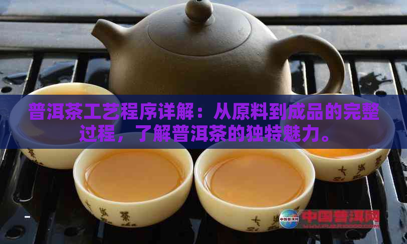 普洱茶工艺程序详解：从原料到成品的完整过程，了解普洱茶的独特魅力。