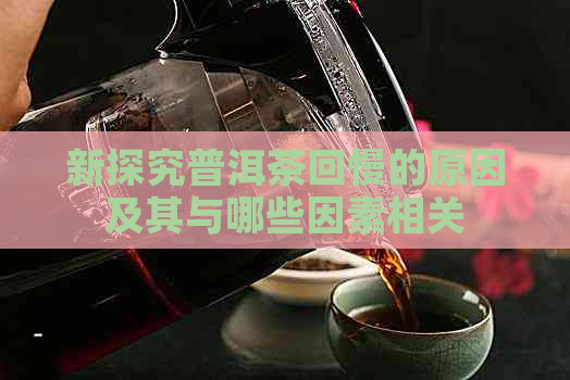 新探究普洱茶回慢的原因及其与哪些因素相关