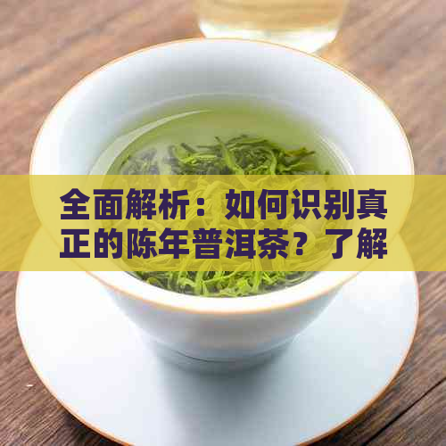 全面解析：如何识别真正的陈年普洱茶？了解购买与品鉴的关键要素和技巧