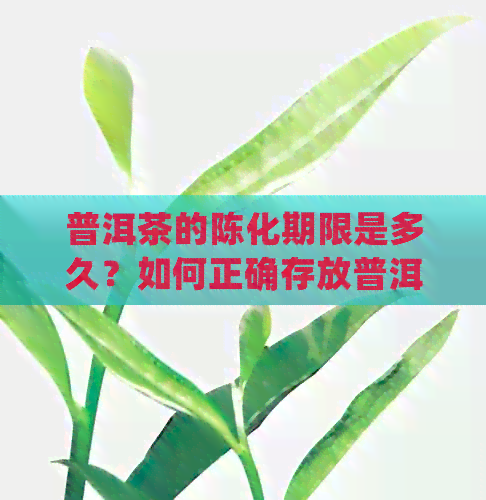 普洱茶的陈化期限是多久？如何正确存放普洱茶以获得口感？