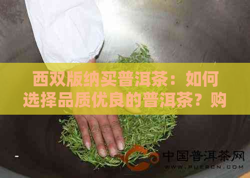 西双版纳买普洱茶：如何选择品质优良的普洱茶？购买时需要注意哪些事项？