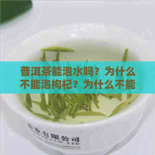 普洱茶能泡水吗？为什么不能泡枸杞？为什么不能泡着饮呢？