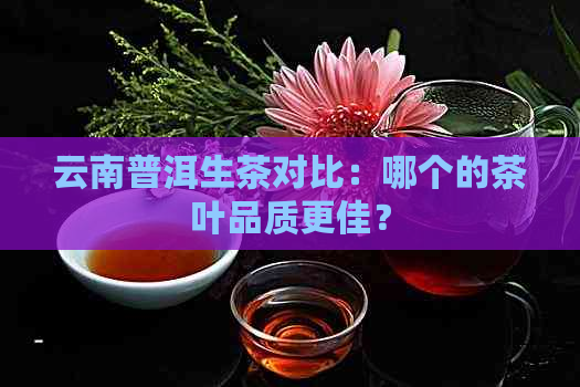 云南普洱生茶对比：哪个的茶叶品质更佳？