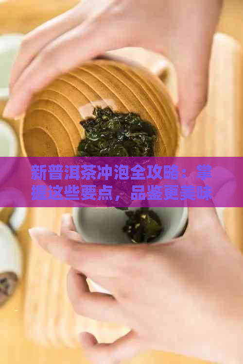 新普洱茶冲泡全攻略：掌握这些要点，品鉴更美味！