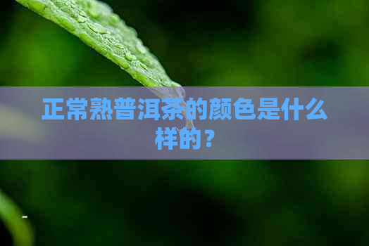 正常熟普洱茶的颜色是什么样的？