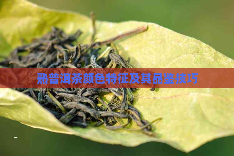 熟普洱茶颜色特征及其品鉴技巧