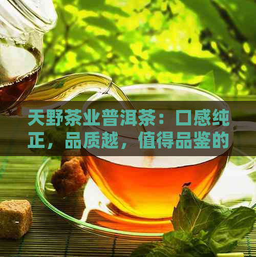 天野茶业普洱茶：口感纯正，品质越，值得品鉴的秘密