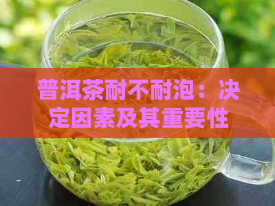 普洱茶耐不耐泡：决定因素及其重要性